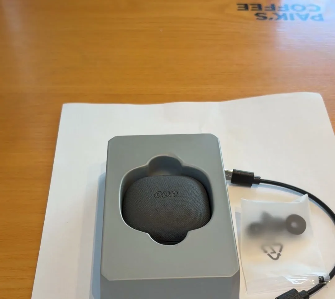 QCY T43 Buds 개봉 직후, 종이 트레이에 담긴 충전 케이스와 USB-A to C 케이블, 비닐에 든 여분 이어팁